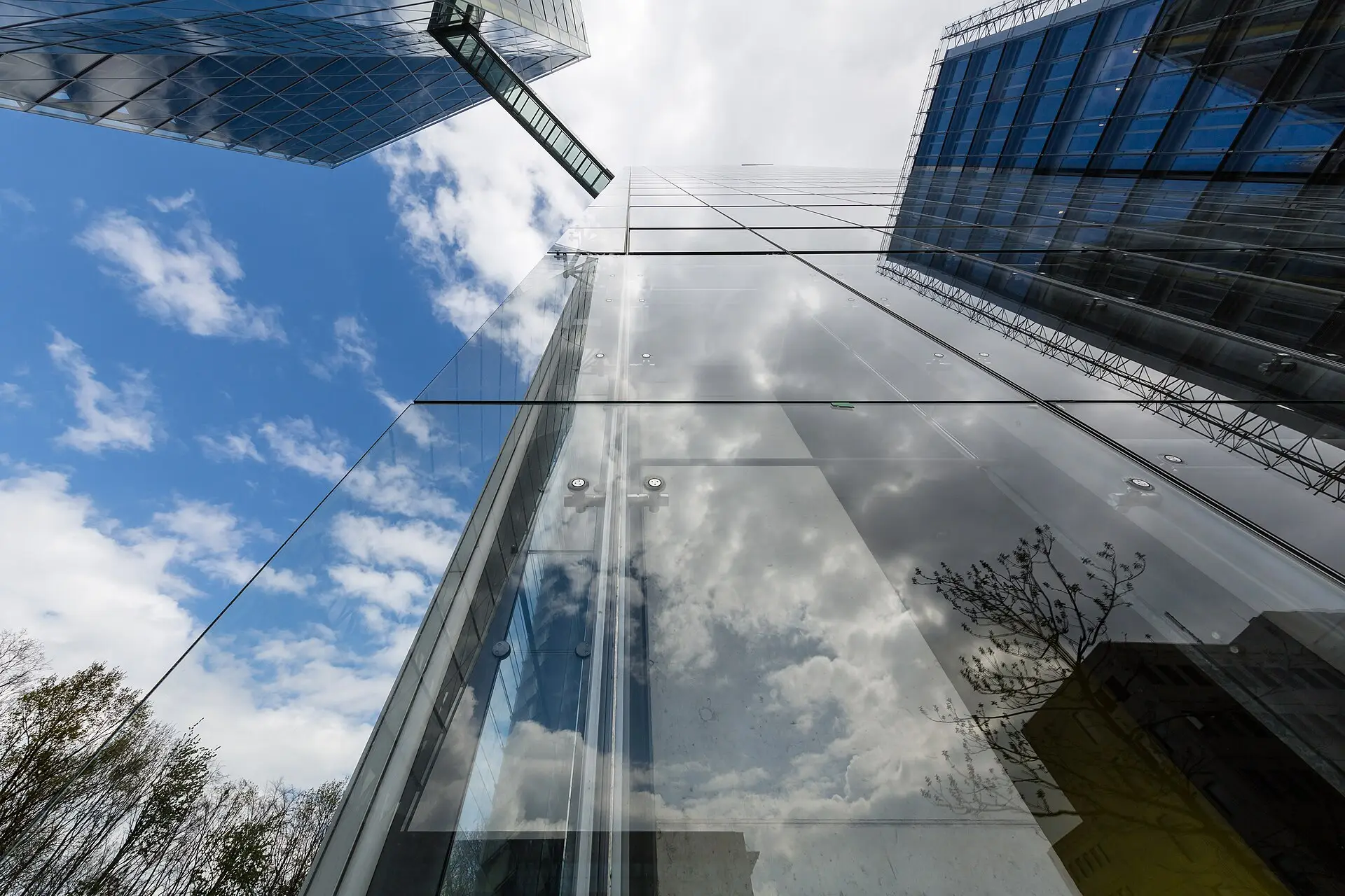 Glass facades rising into the sky